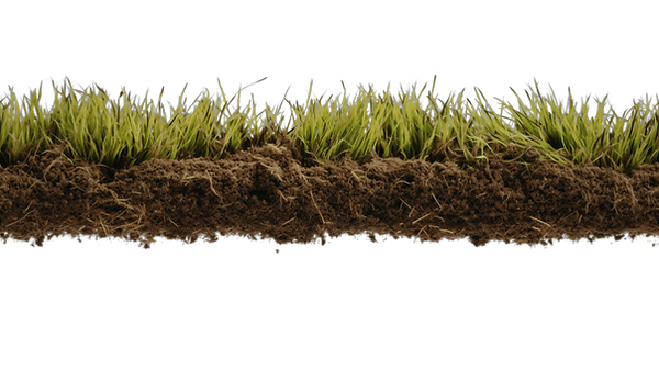 Dirt png 1_edited.png