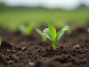 Unlocking the Secrets of Soil: Fascinating Facts and Its Role in Northwest Territories Agriculture