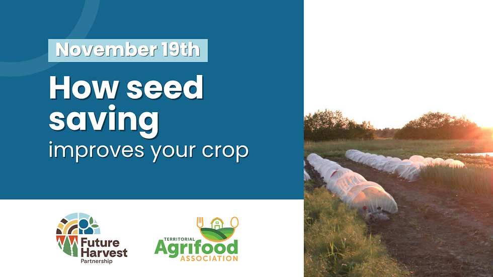 How seed saving improves your crop