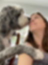 image5.jpeg