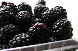 Black Berries