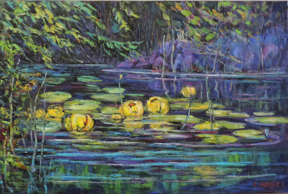 Waterlilies in Yellow
