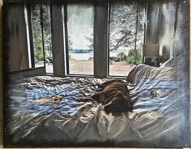 Cottage Dog Dream
