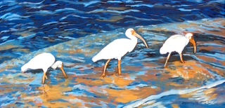 Wading - Ibis Series #3