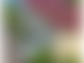 Bronx豪华两家庭$928,000 贷款利率5.75%!