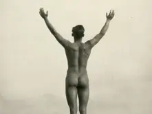 El rey desnudo