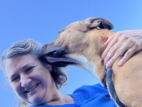Dr Jen receives kisses from a grateful dog