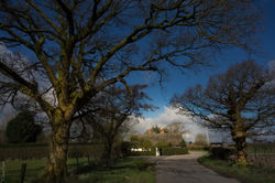 DSC01821-2