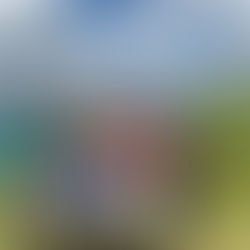 Perspective: The value of it