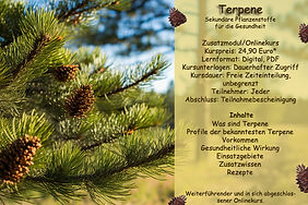 Webseitenbild Zusatzmodul 2 - Terpene.jpg