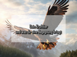 Dein Krafttier und was dir eine Begegnung bringt 🐺🐻🐦‍⬛🐝