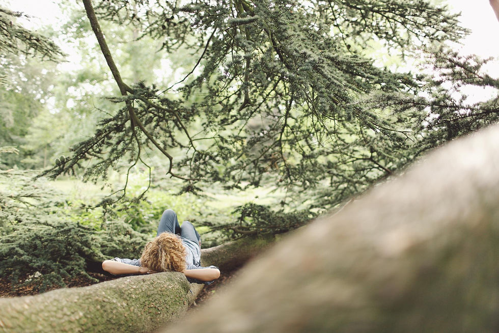 Thumbnail: Kursleiter/-in Waldbaden ZAN - Fernstudium mit Wochenendseminar
