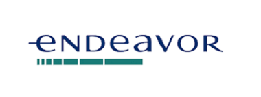 endevor