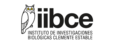 iibce