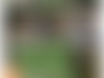 新しい事