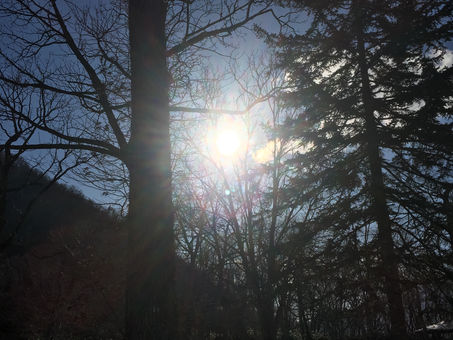 nature