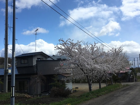 ひつじ雲