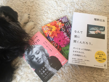 本が届く