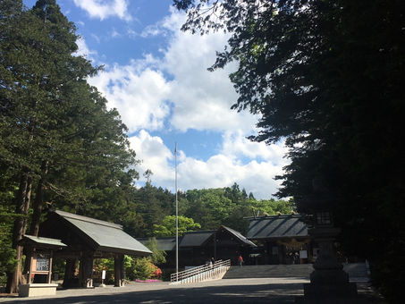 6月スタート