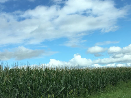 とうきびの甘い香りと秋の空