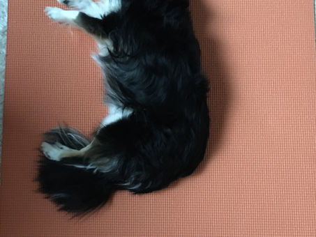 もう少しもう少し
