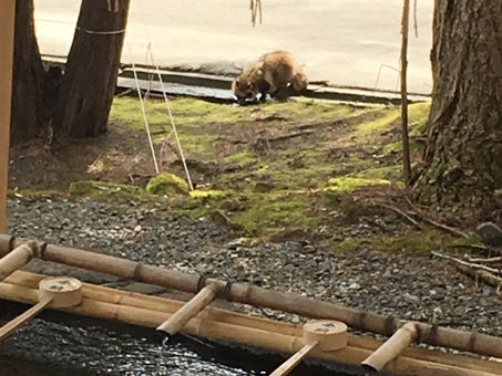 平成の終わり