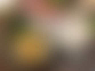 あっという間の1週間