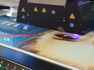 Noções básicas de impressão UV: componentes da impressora, sistema de tinta e manutenção