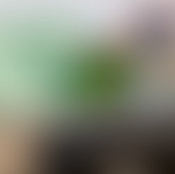 assurance frontière voiture étrangère