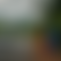 Assurance auto temporaire Mayotte – Devis et souscription en ligne