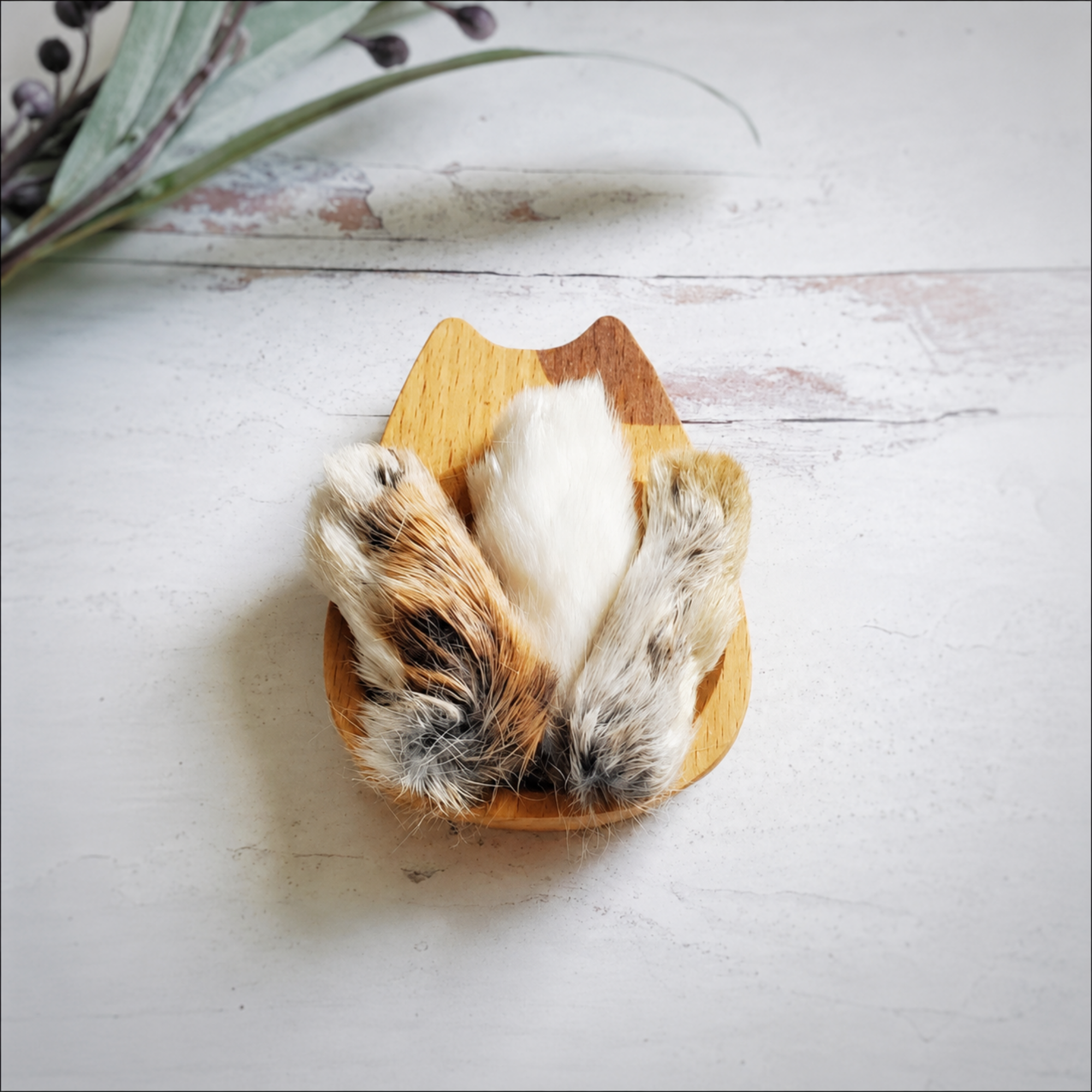 Rabbit Feet with Fur
