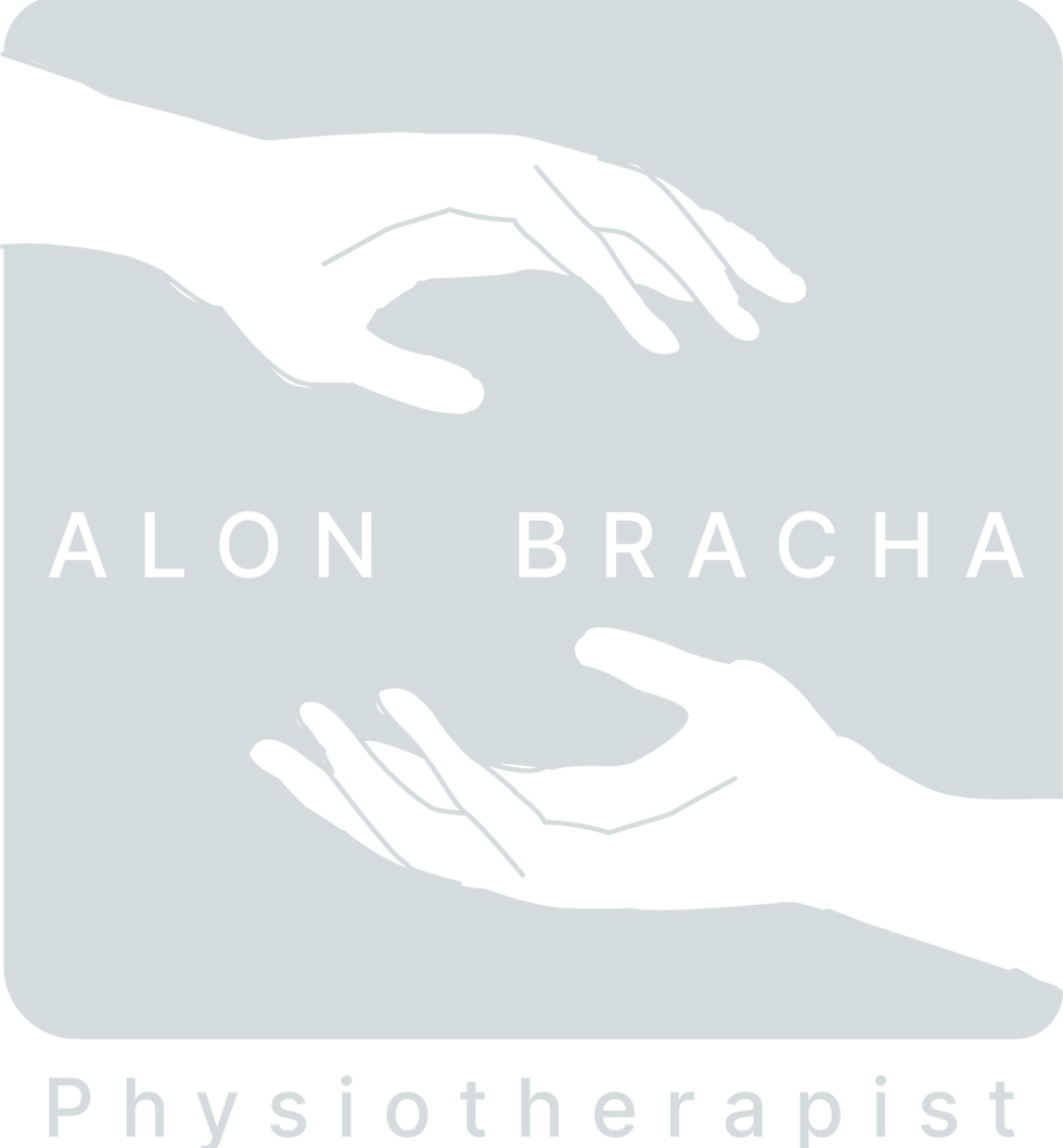 logo alon.png