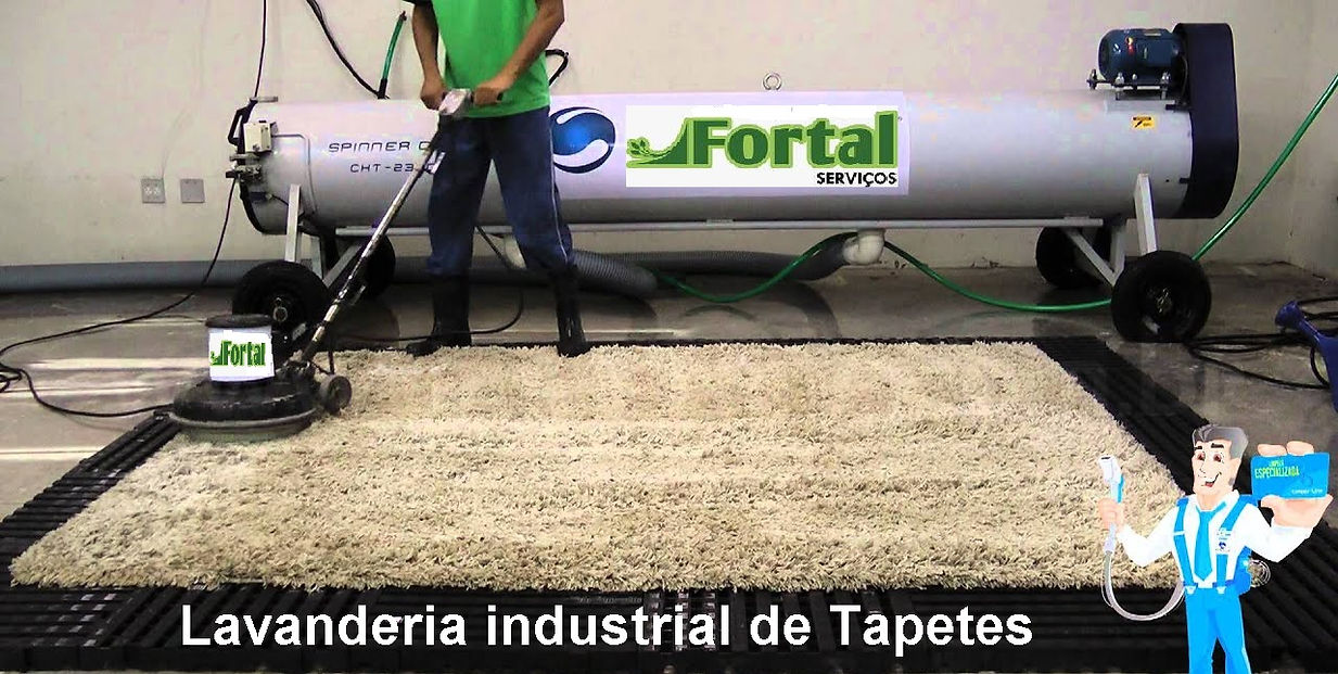 lavanderia de tapetes CURITIBA