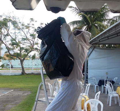 retirar abelhas em goiânia