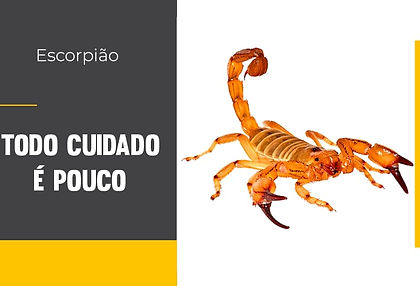 dedetizadora em manaus