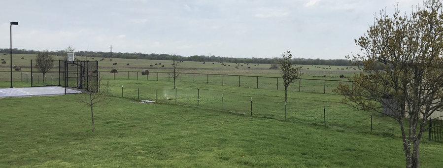 Spacious yard at Lonestar Bernedoodles where our Mini Bernedoodle puppies play and grow