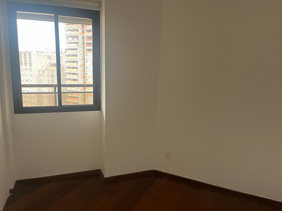 Miniatura: Moema-São Paulo