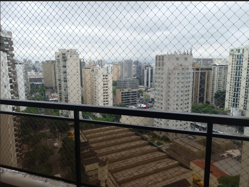 Miniatura: Moema-São Paulo