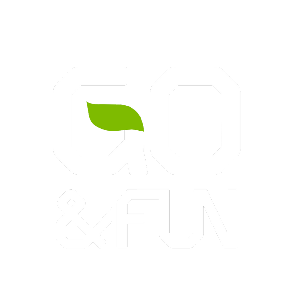Go Fun.png