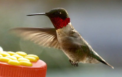 Sweet 16: More SPJ awards for Today Magazine