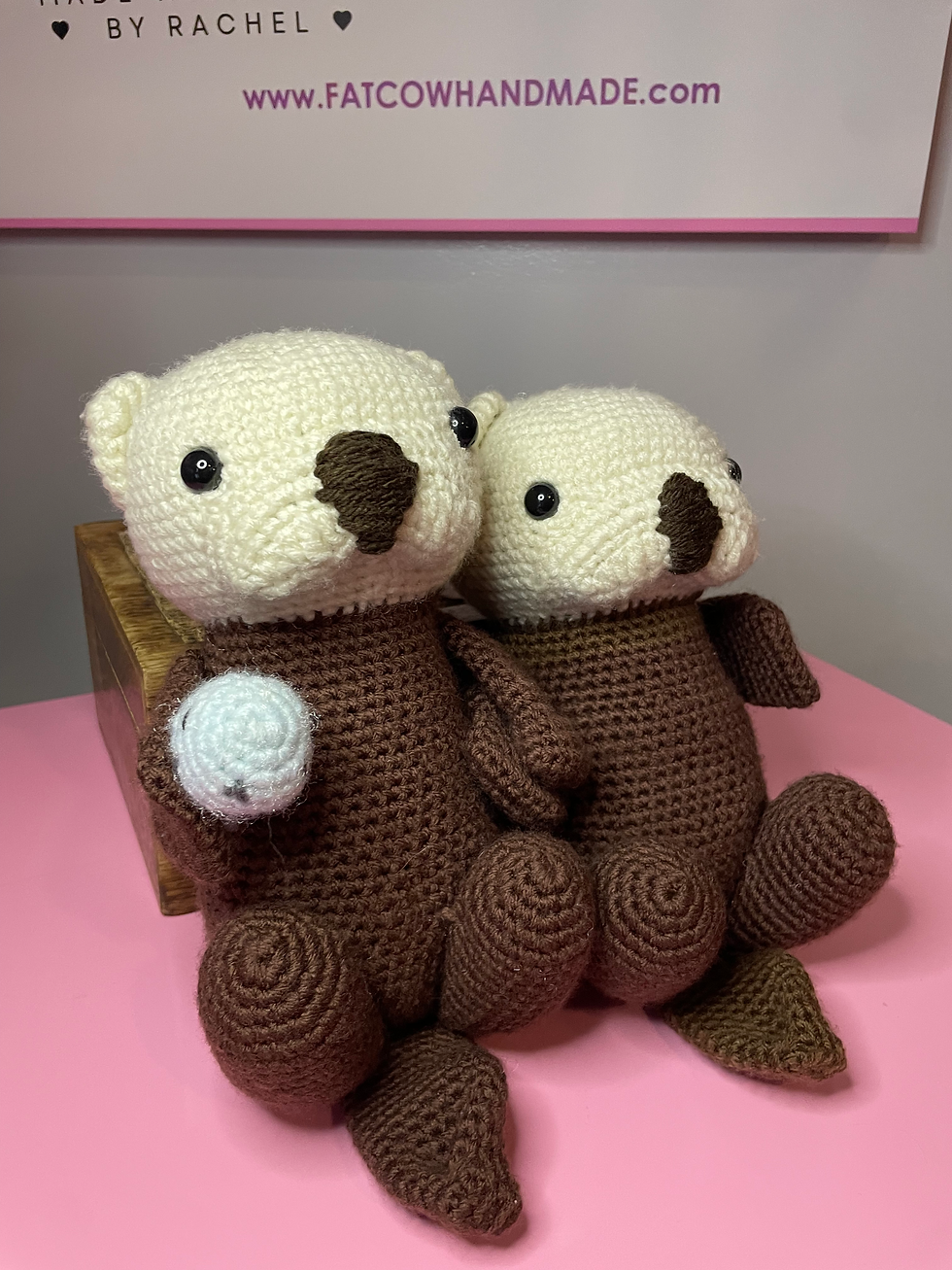 Thumbnail: Sea Otter’s Holding Hands 
