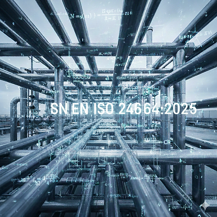 SN EN ISO 24664-2025.png