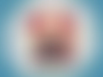 Das Zahlen-Bild-System: 100 Bilder für 100 Zahlen