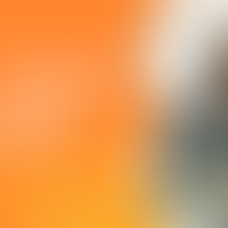 3 Elementos Essenciais para Empresários que querem obter mais lucros.