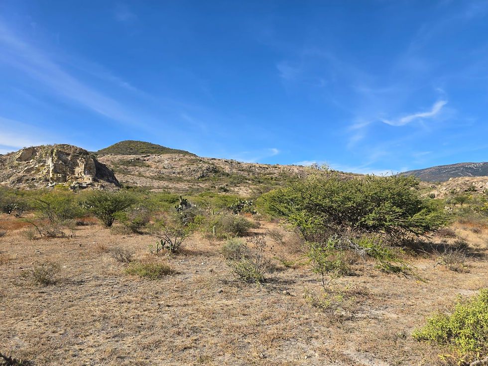 WhatsApp Image 2025-08-16 at 10.10.01 AM (1).jpeg