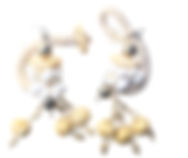 InShot_20250518_081200995.jpg