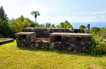 DSC_9484.jpg