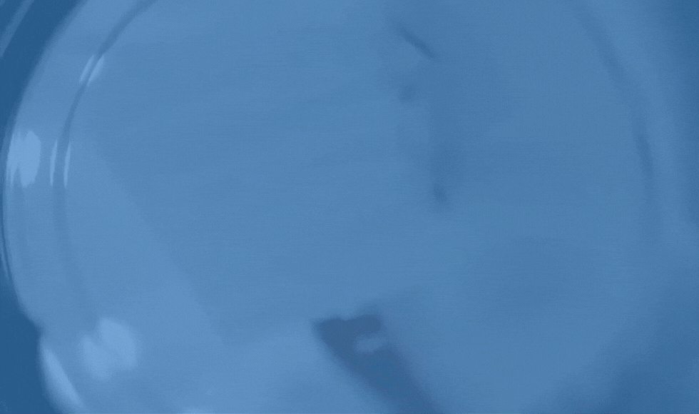 drum_rotate.gif