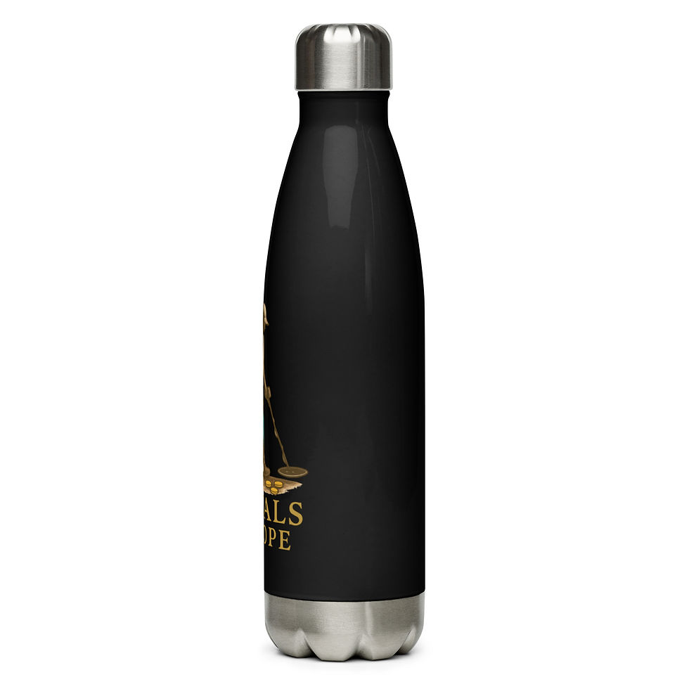 Thumbnail: Stainless steel water bottle