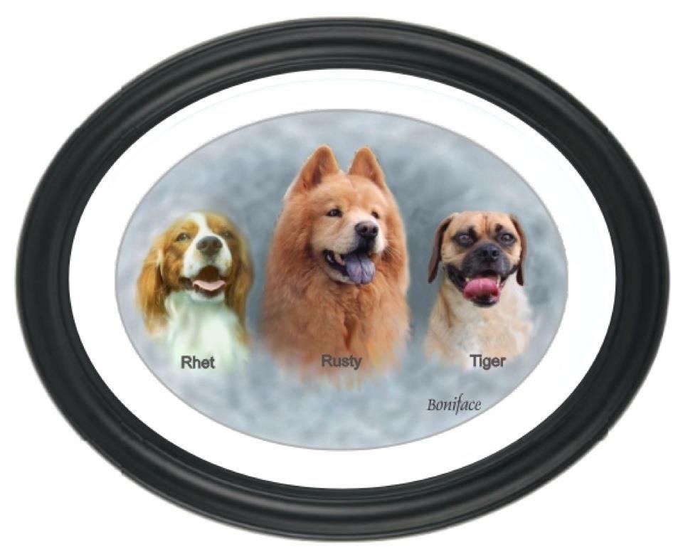 Rusty's Furry Companions